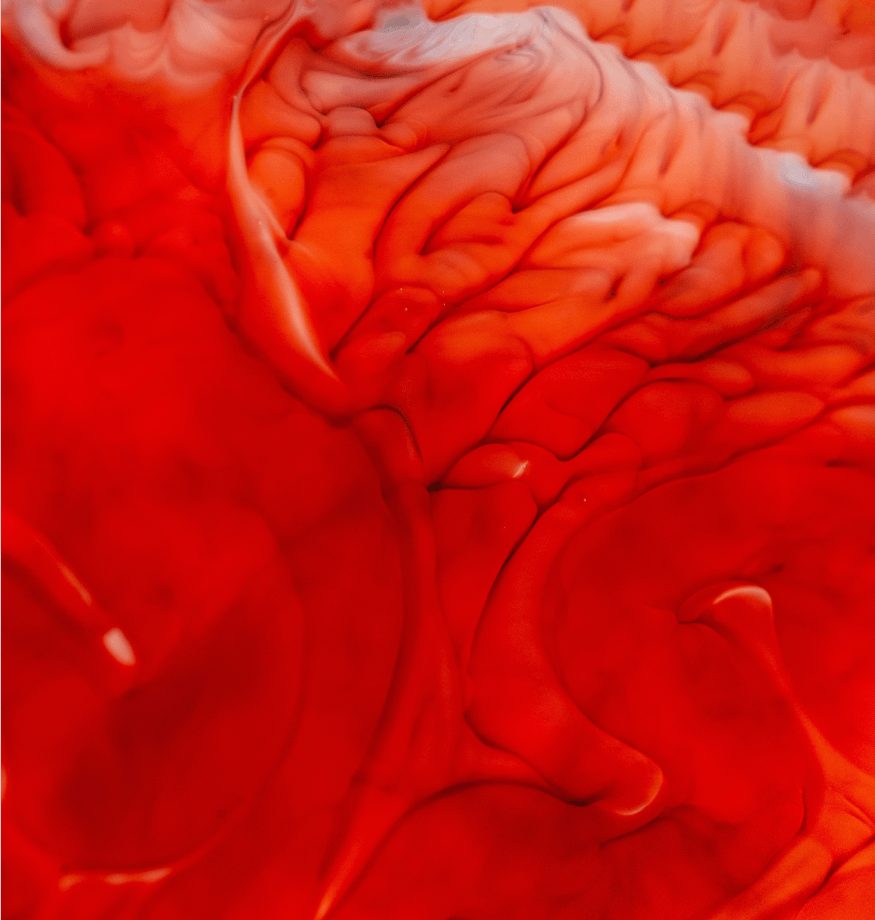 Blood Under a Microscope
